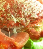 foto del restaurante