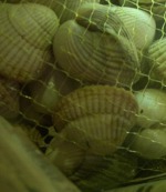 foto del restaurante