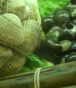 foto del restaurante