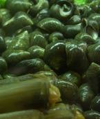 foto del restaurante